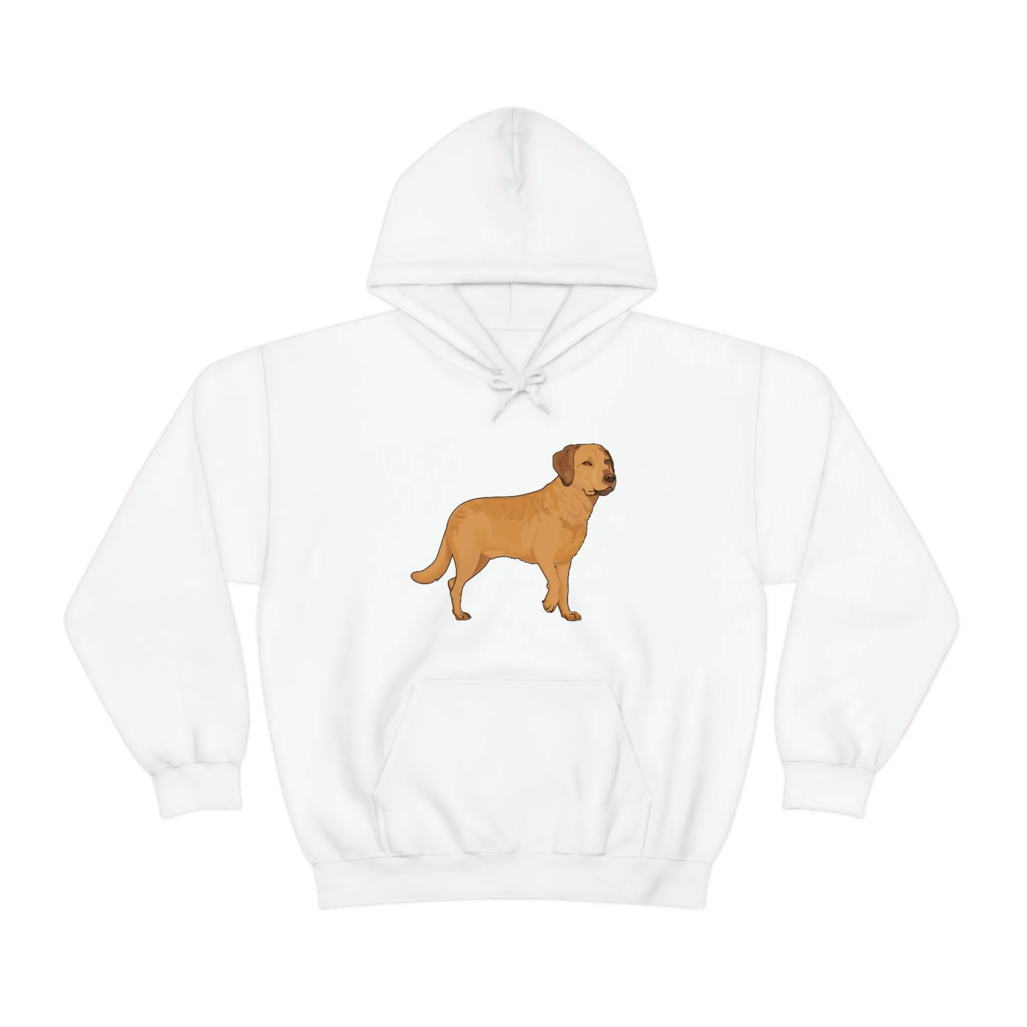 Chesapeake Bay Retriever Unisex Heavy Blend Hooded Sweatshirt, S - 5XL, 12 Colors, Cotton/Polyester, FREE Shipping, Made in Usa!!