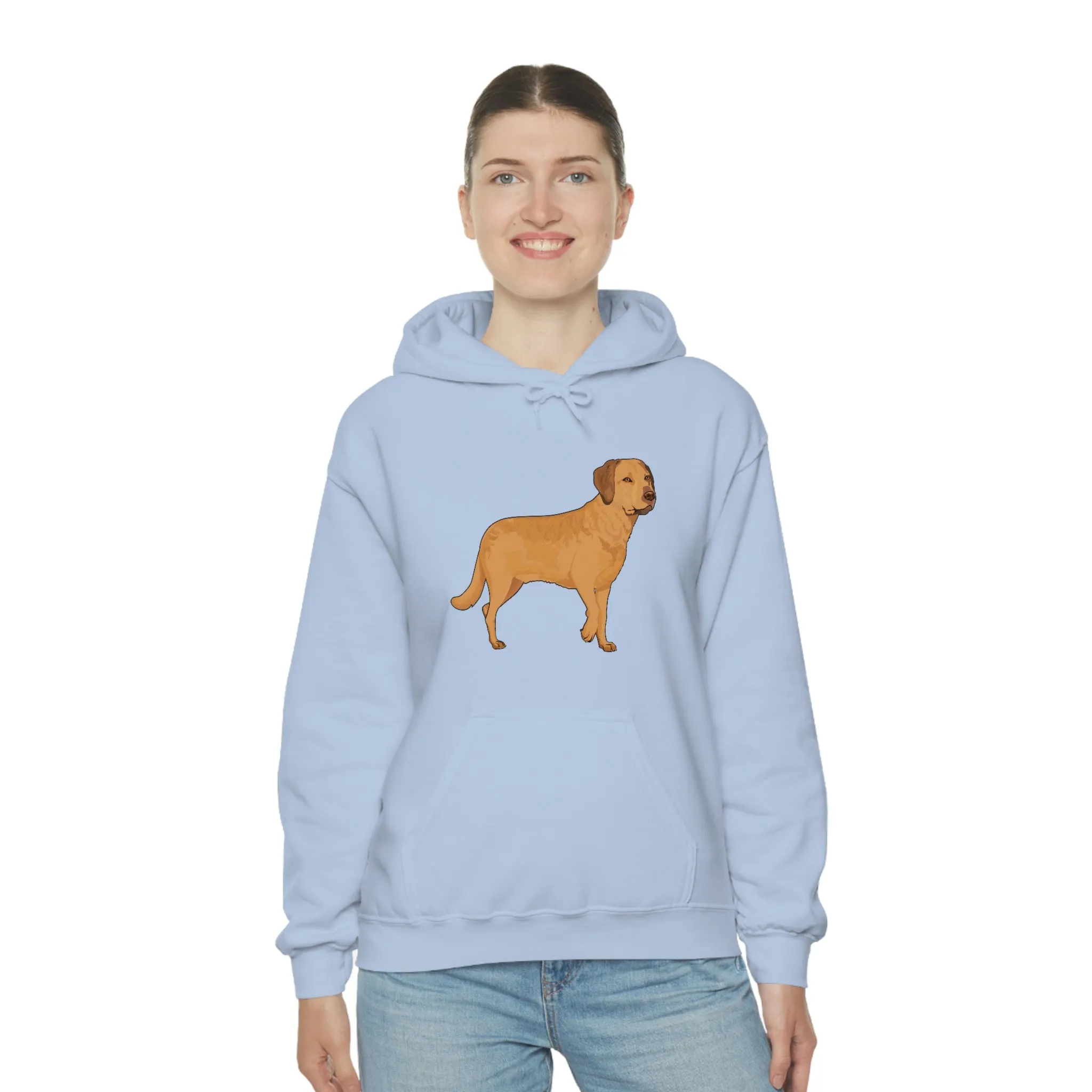 Chesapeake Bay Retriever Unisex Heavy Blend Hooded Sweatshirt, S - 5XL, 12 Colors, Cotton/Polyester, FREE Shipping, Made in Usa!!
