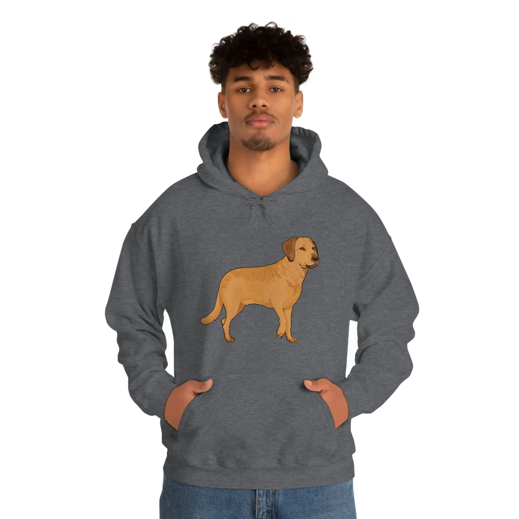 Chesapeake Bay Retriever Unisex Heavy Blend Hooded Sweatshirt, S - 5XL, 12 Colors, Cotton/Polyester, FREE Shipping, Made in Usa!!
