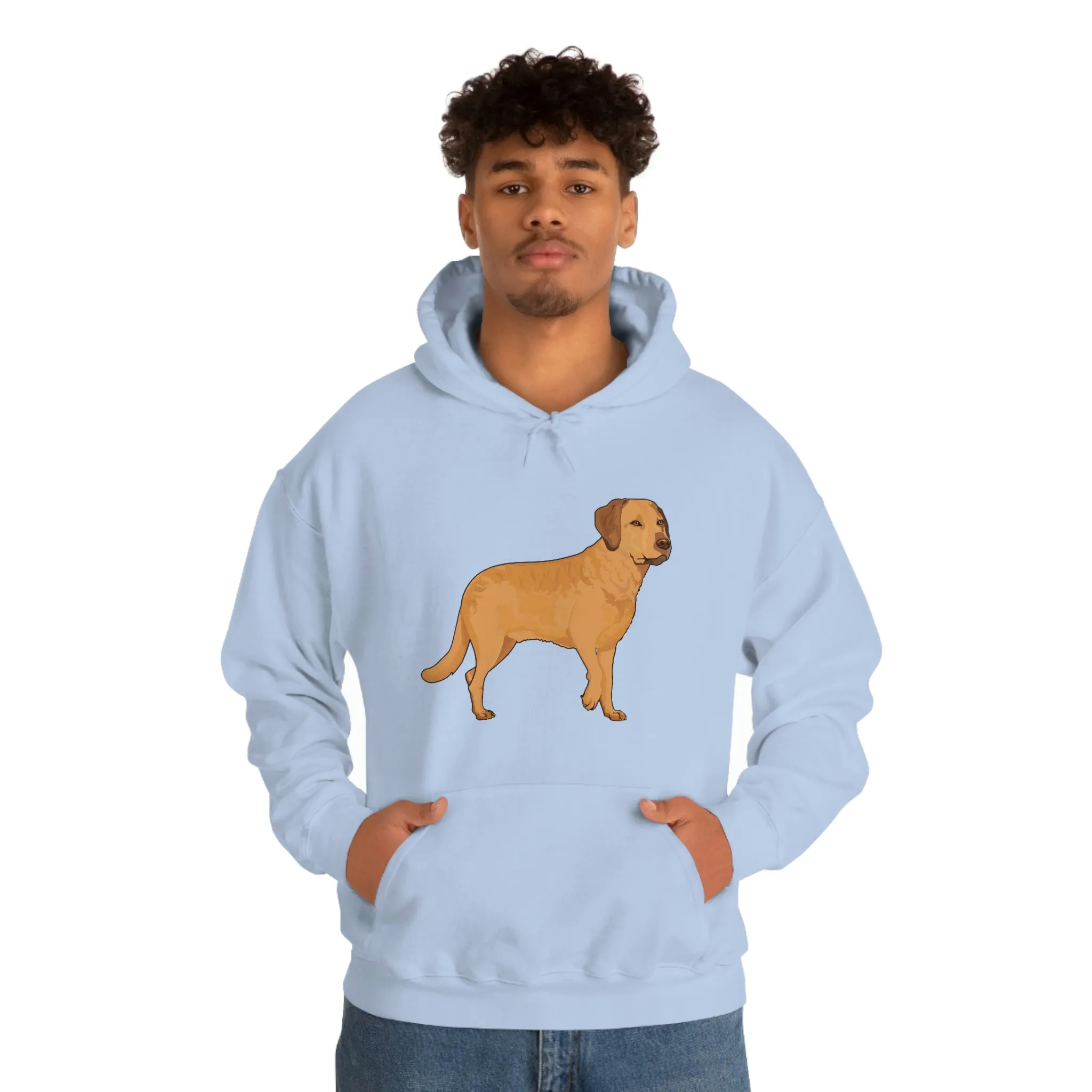 Chesapeake Bay Retriever Unisex Heavy Blend Hooded Sweatshirt, S - 5XL, 12 Colors, Cotton/Polyester, FREE Shipping, Made in Usa!!
