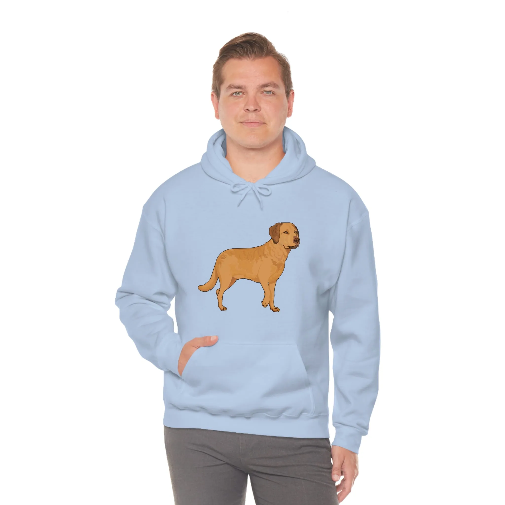 Chesapeake Bay Retriever Unisex Heavy Blend Hooded Sweatshirt, S - 5XL, 12 Colors, Cotton/Polyester, FREE Shipping, Made in Usa!!