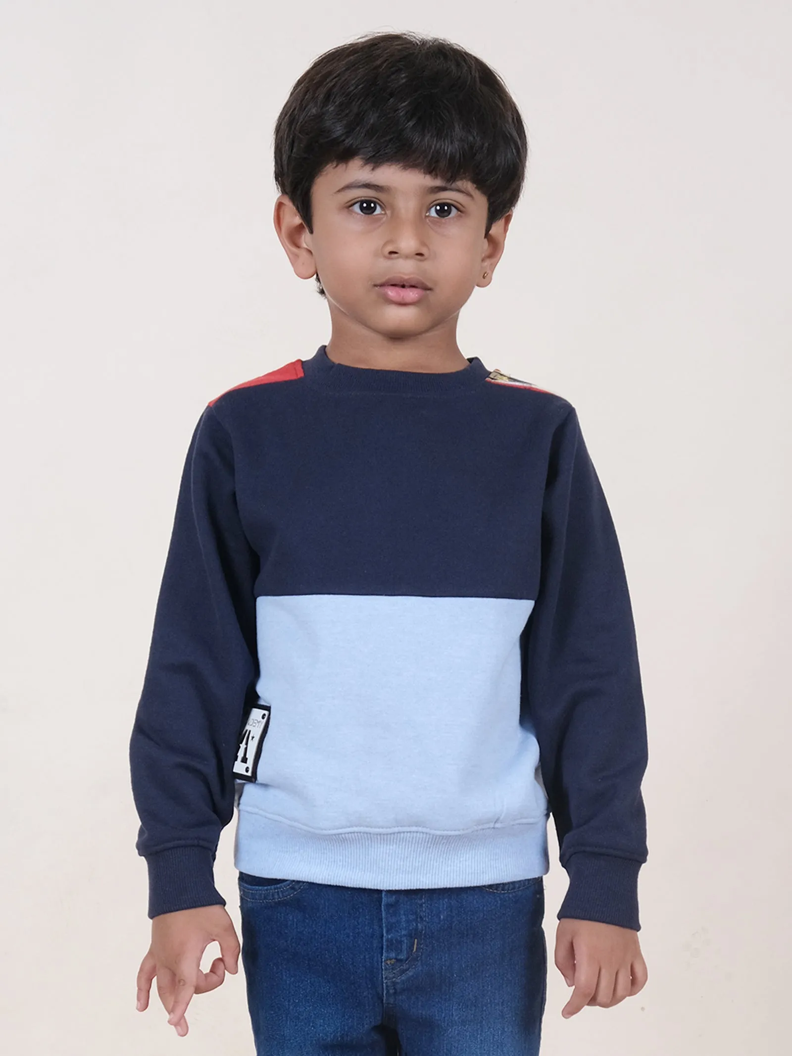 Fleece Full Sleeves Colour Block Cut & Sew Sweatshirt