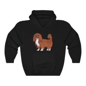 Ruby Cavalier King Charles Spaniel Unisex Heavy Blend™ Hooded Sweatshirt, S - 5XL, 12 Colors, Cotton/Polyester, Made in the USA!!