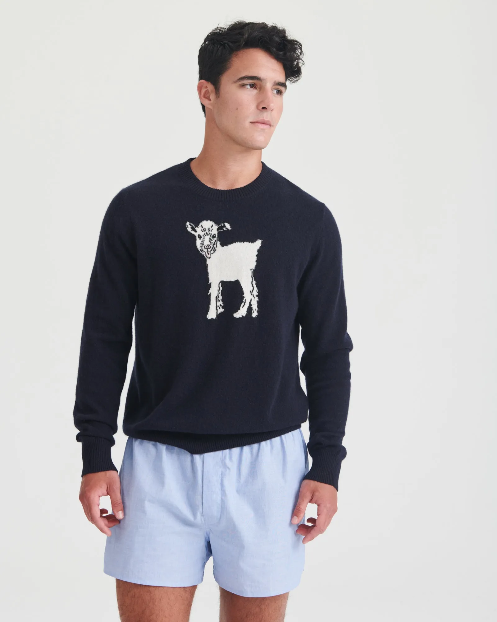 Luxurious Unisex Cashmere Baby GOAT Sweater