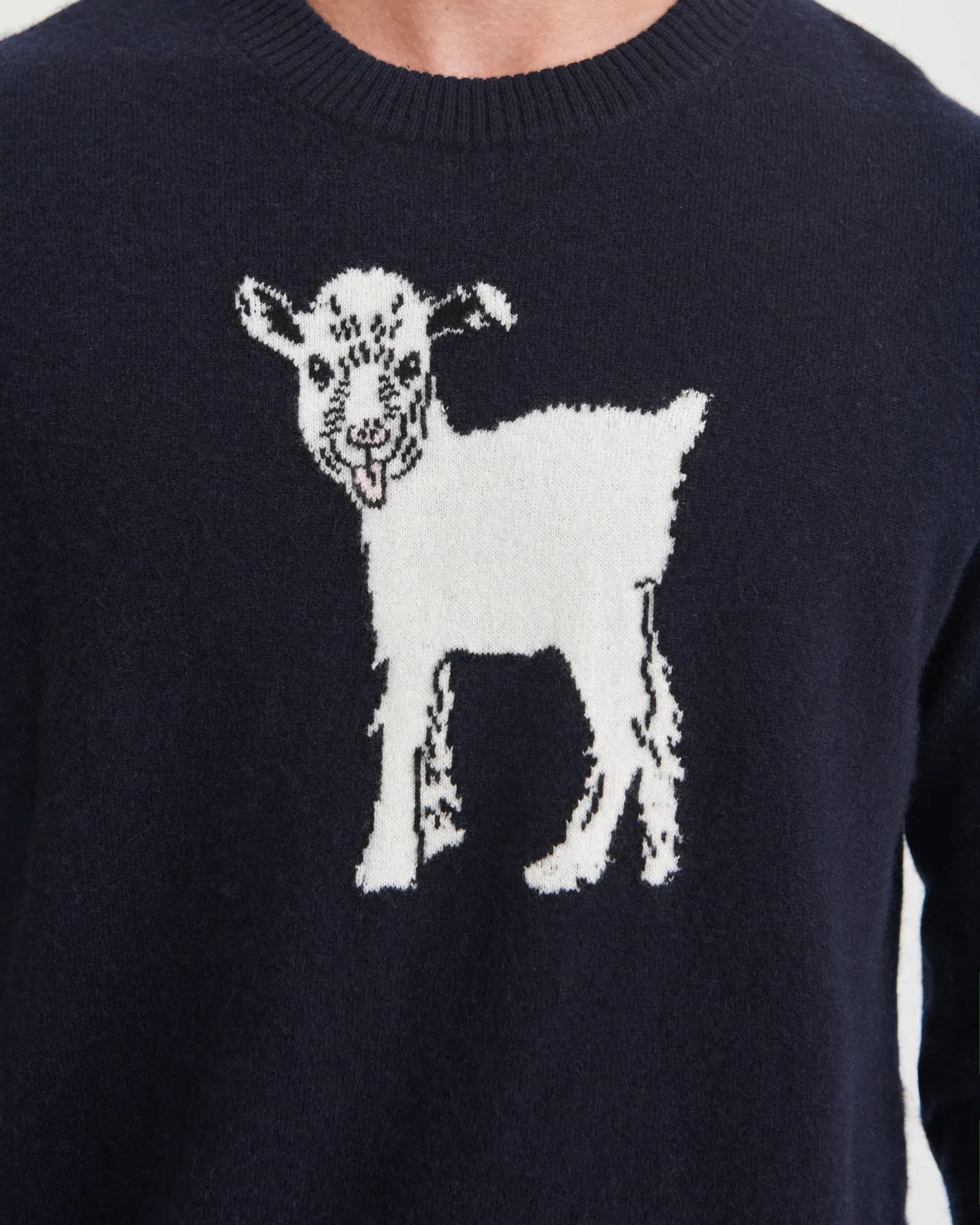 Luxurious Unisex Cashmere Baby GOAT Sweater