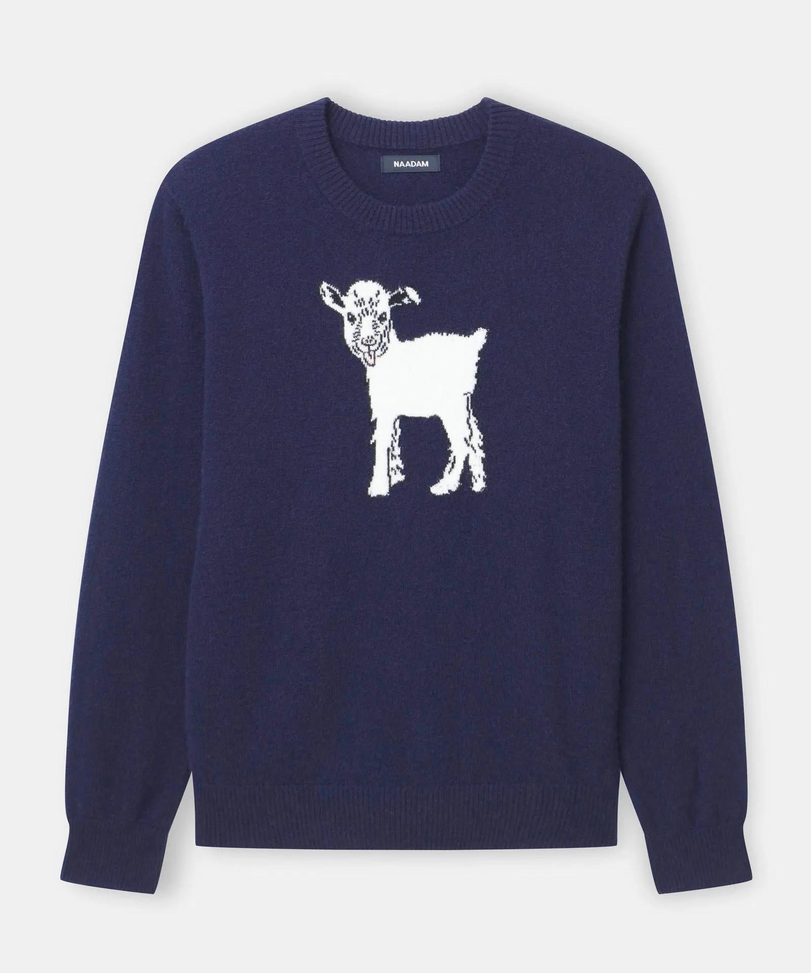 Luxurious Unisex Cashmere Baby GOAT Sweater