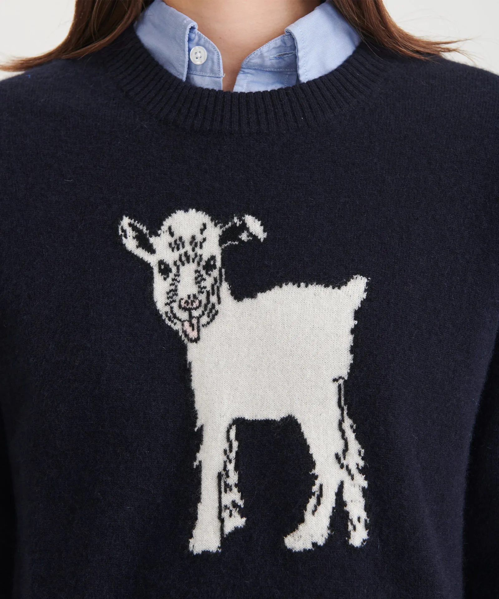 Luxurious Unisex Cashmere Baby GOAT Sweater