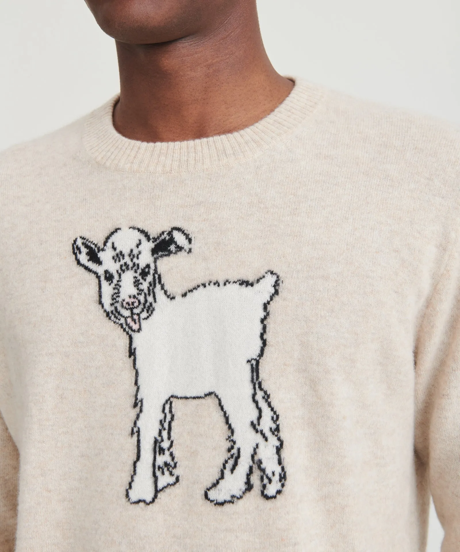 Luxurious Unisex Cashmere Baby GOAT Sweater